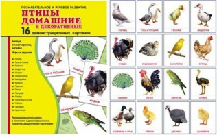 Демонстрационные карточки "Птицы домашние и декоративные" - fgospostavki.ru - Барнаул