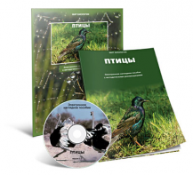 Электронное наглядное пособие «Птицы» - fgospostavki.ru - Барнаул