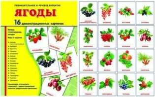 Демонстрационные карточки "Ягоды" - fgospostavki.ru - Барнаул