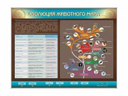Интерактивный электрифицированный стенд "Эволюция животного мира" - fgospostavki.ru - Барнаул