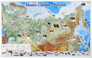 Магнитные карточки "Животные" - fgospostavki.ru - Барнаул