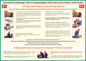 Таблица "Порядок действий при внезапной смерти" (100х140 сантиметров, винил) - fgospostavki.ru - Барнаул