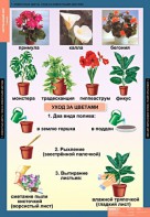 Комплект таблиц. Окружающий мир 1 класс. - fgospostavki.ru - Барнаул