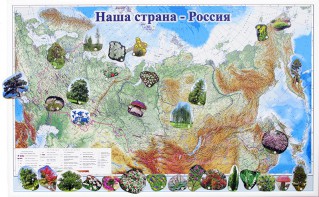 Магнитные карточки "Растения" - fgospostavki.ru - Барнаул