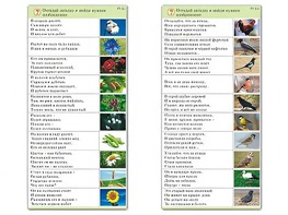 Комплект карточек (10) "Обучающий калейдоскоп. Природа" - fgospostavki.ru - Барнаул