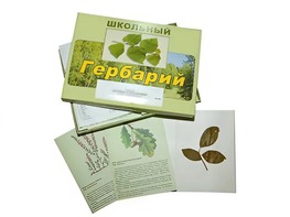 Гербарий "Дикорастущие растения" (30 видов, с иллюстрациями) - fgospostavki.ru - Барнаул