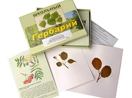 Гербарий "Систематика растений. Семейство Розоцветные" (раздаточный) - fgospostavki.ru - Барнаул