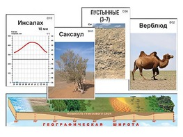 Модель-аппликация "Природные зоны" - fgospostavki.ru - Барнаул