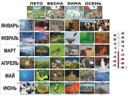 Фенологические наблюдения - fgospostavki.ru - Барнаул