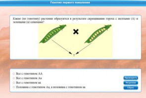 Интерактивные курсы. Биология 11 класс. Базовый. - fgospostavki.ru - Барнаул
