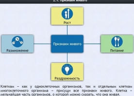 Интерактивные курсы. Биология 5 класс. Базовый - fgospostavki.ru - Барнаул