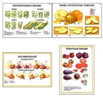 Плакаты ПРОФТЕХ "Ассортимент овощных культур" (12 пл, винил, 70х100) - fgospostavki.ru - Барнаул