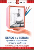 DVD "Мастер-класс. Живопись для начинающих. Белое на белом. Принципы образования колорита на объеме" - fgospostavki.ru - Барнаул