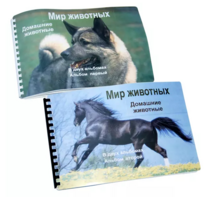 Пособие для слабовидящих - Домашние животные - fgospostavki.ru - Барнаул