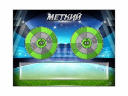 Электрифицированный координационно-развивающий спортивный комплекс "Меткий" - fgospostavki.ru - Барнаул