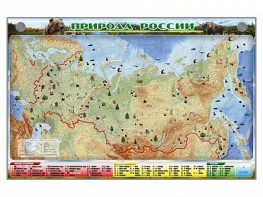 Электронно-информационный (маркерный) стенд "Природа России" - fgospostavki.ru - Барнаул