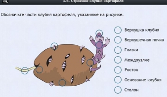 Интерактивные курсы. Биология 6 класс. Расширенный - fgospostavki.ru - Барнаул