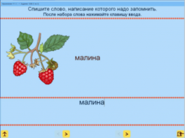 Русский язык. 1 класс. (Учебно-методический комплект) - fgospostavki.ru - Барнаул