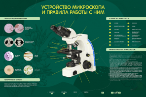 Электрифицированный стенд "Устройство микроскопа и правила работы c ним" - fgospostavki.ru - Барнаул