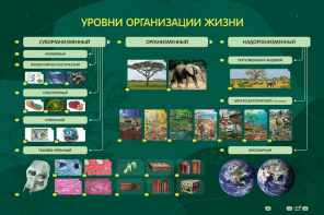 Электрифицированный стенд "Уровни организации жизни" - fgospostavki.ru - Барнаул