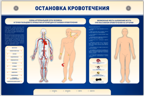 Электрифицированный стенд-тренажер "Остановка кровотечения" - fgospostavki.ru - Барнаул