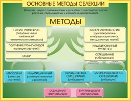 Стенд "Методы селекции и биотехнологии" - fgospostavki.ru - Барнаул