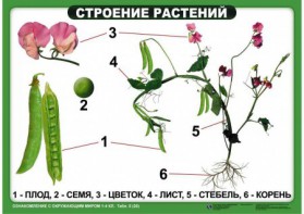 Комплект таблиц "Ознакомление с окружающим миром 1-4 класс" - fgospostavki.ru - Барнаул