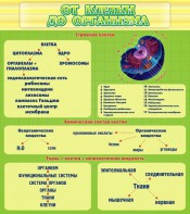 Стенд "От клетки до организма" - fgospostavki.ru - Барнаул