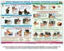 Комплект плакатов "Оказание первой доврачебной медицинской помощи" - fgospostavki.ru - Барнаул