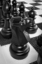 Напольные фигуры шахматные гигантские 61 - fgospostavki.ru - Барнаул