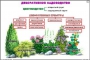 Комплект кодотранспарантов "Культурные растения" - fgospostavki.ru - Барнаул