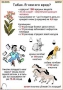 Комплект кодотранспарантов "Ядовитые растения" - fgospostavki.ru - Барнаул