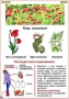 Комплект кодотранспарантов "Ядовитые растения" - fgospostavki.ru - Барнаул